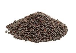 लाल रयी Brassica juncea (Linn)