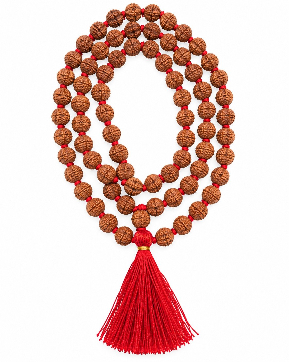 5 mukhi rudraksh mala